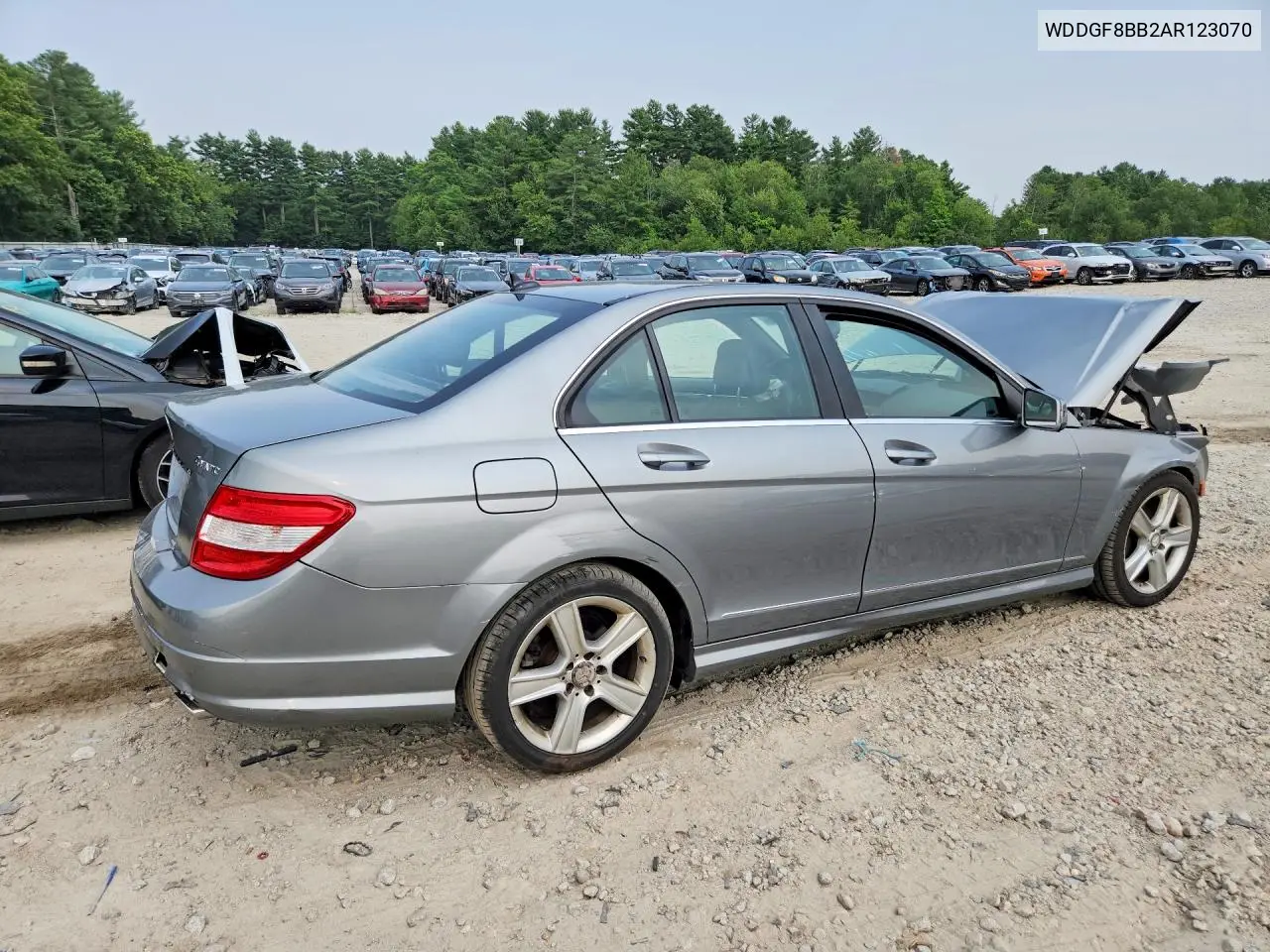 2010 Mercedes-Benz C 300 4Matic VIN: WDDGF8BB2AR123070 Lot: 60683436