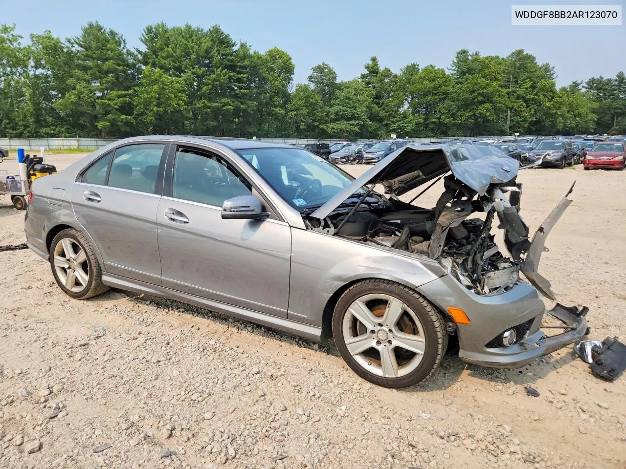 2010 Mercedes-Benz C 300 4Matic VIN: WDDGF8BB2AR123070 Lot: 60683436
