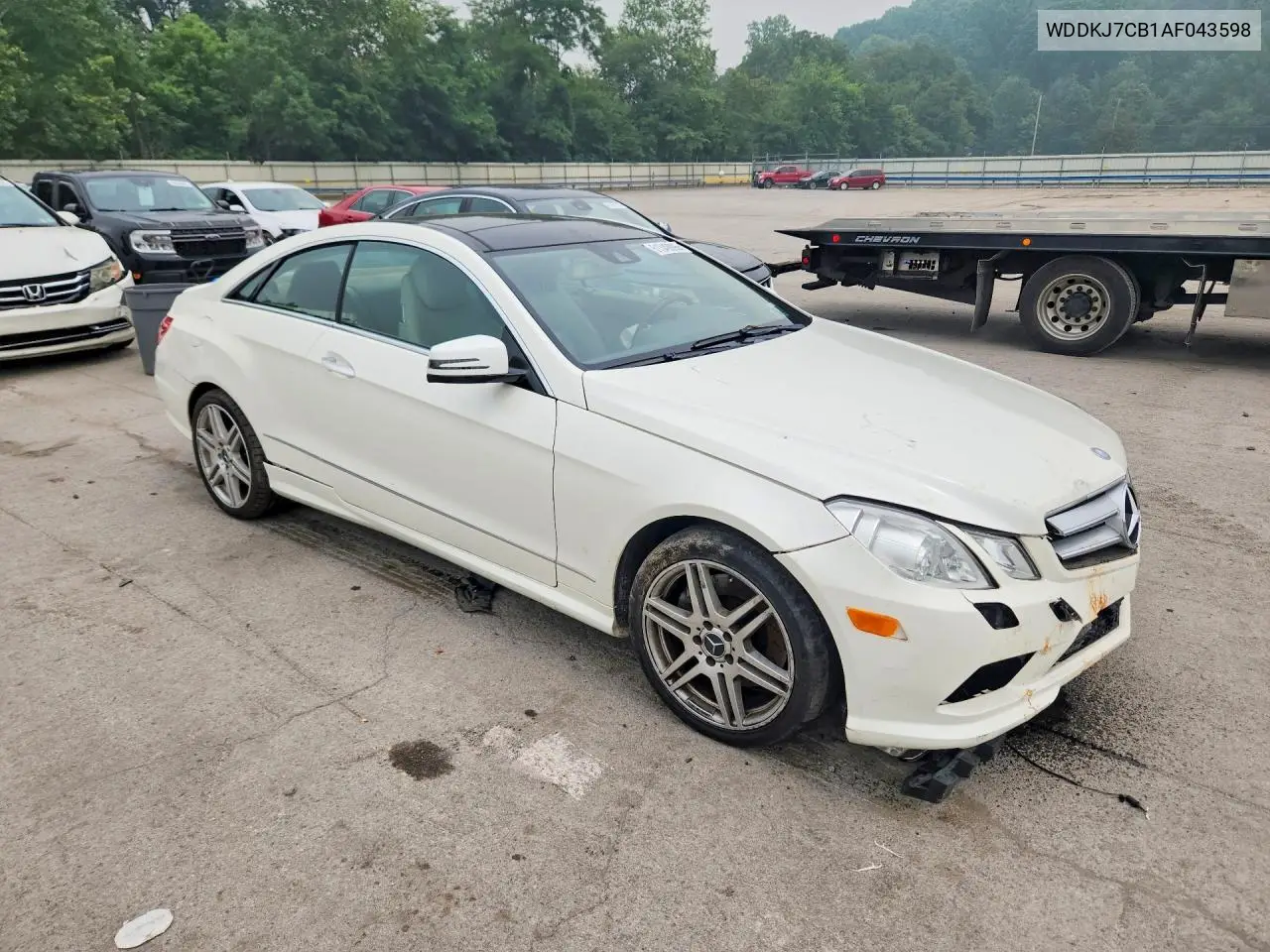 2010 Mercedes-Benz E 550 VIN: WDDKJ7CB1AF043598 Lot: 61349096