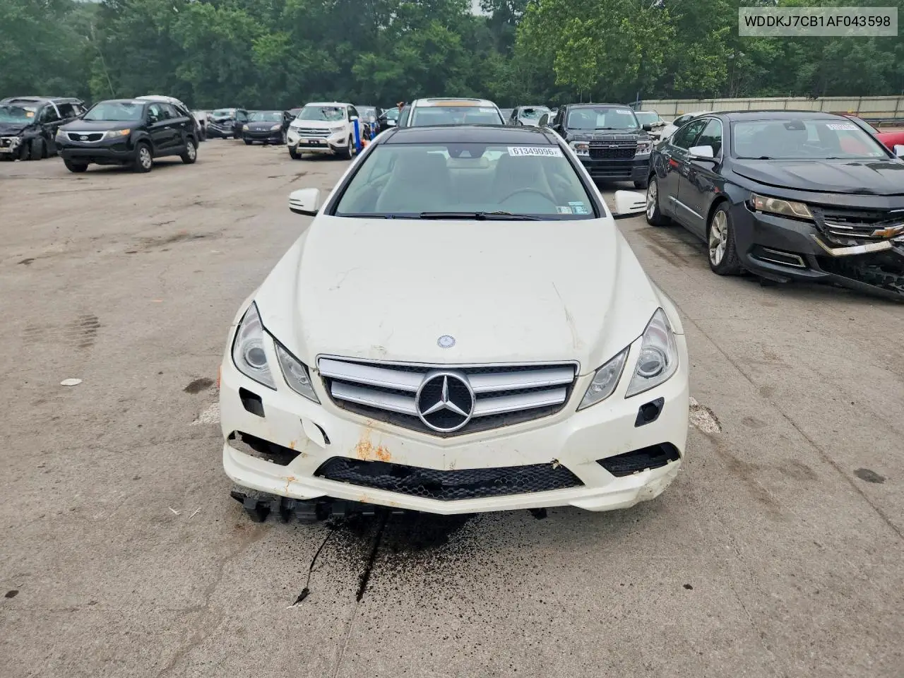 2010 Mercedes-Benz E 550 VIN: WDDKJ7CB1AF043598 Lot: 61349096