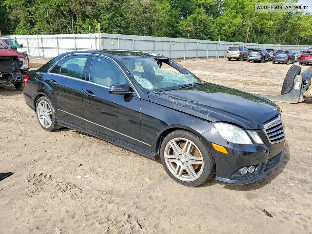2010 Mercedes-Benz E 350 VIN: WDDHF5GB1AA190642 Lot: 62270016