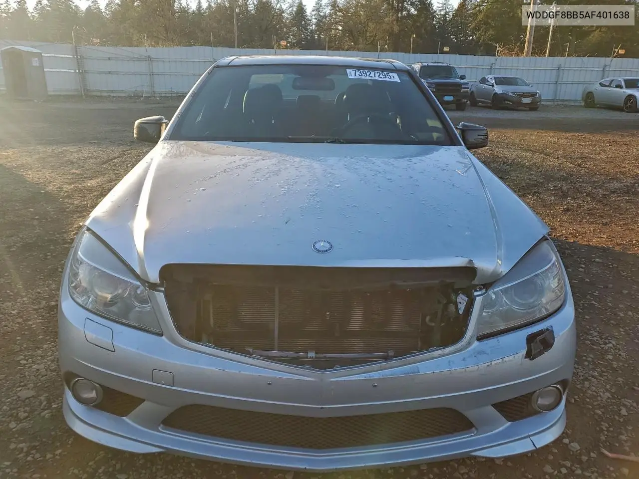 2010 Mercedes-Benz C 300 4Matic VIN: WDDGF8BB5AF401638 Lot: 73927295
