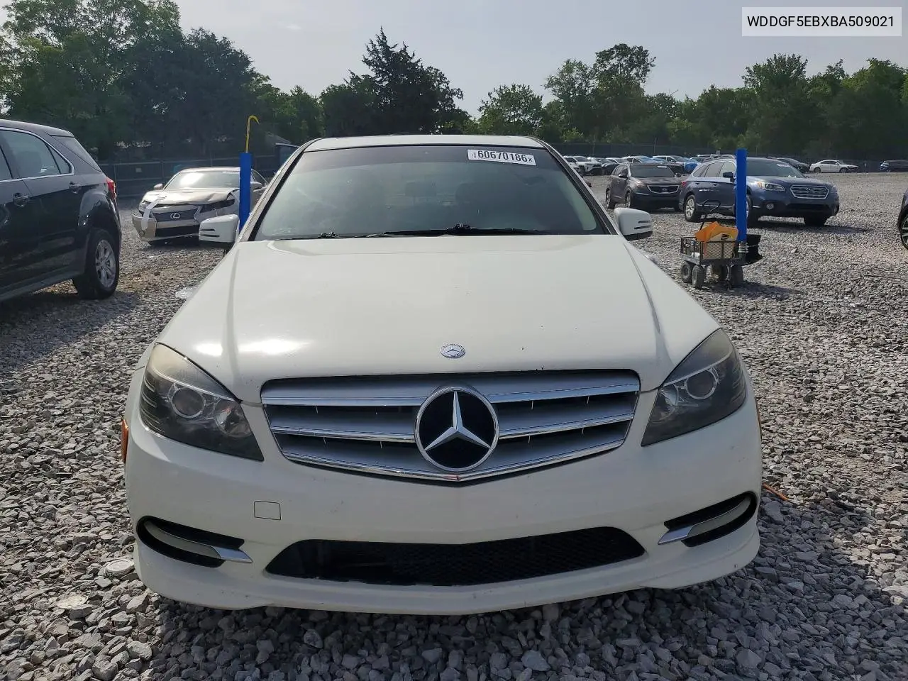 2011 Mercedes-Benz C 300 VIN: WDDGF5EBXBA509021 Lot: 60670186
