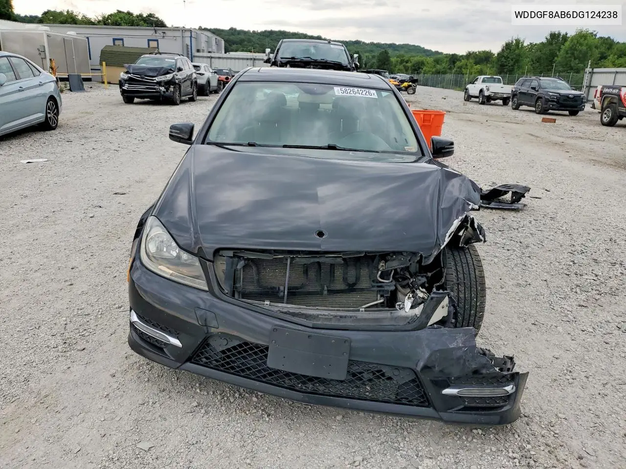 2013 Mercedes-Benz C 300 4Matic VIN: WDDGF8AB6DG124238 Lot: 58264226