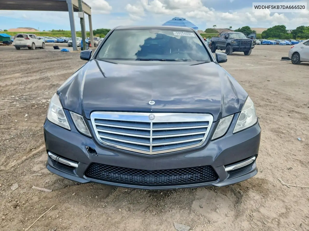 2013 Mercedes-Benz E 350 VIN: WDDHF5KB7DA666520 Lot: 59534696