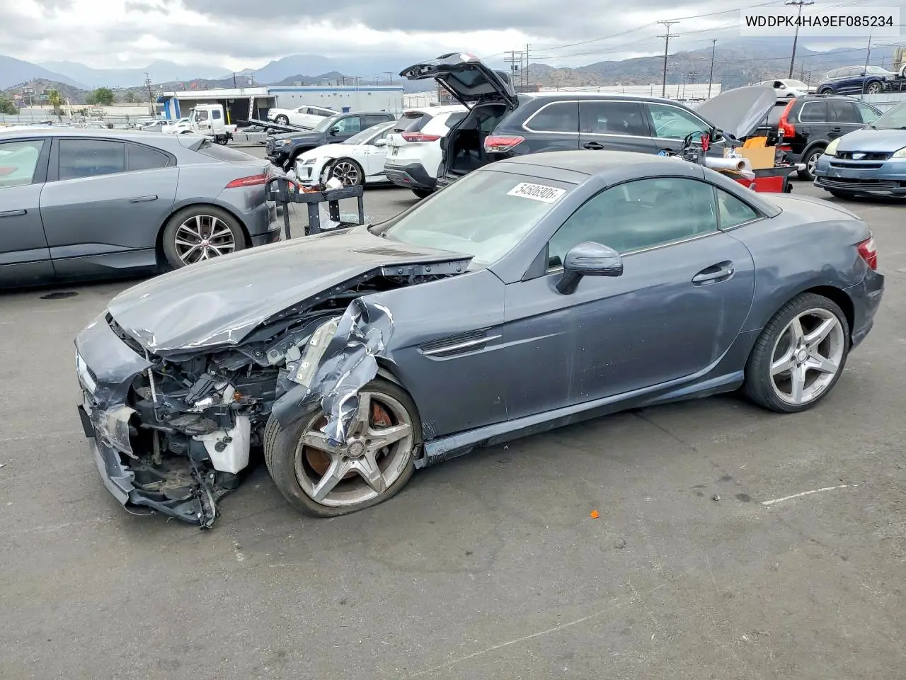 2014 Mercedes-Benz Slk 250 VIN: WDDPK4HA9EF085234 Lot: 54506906