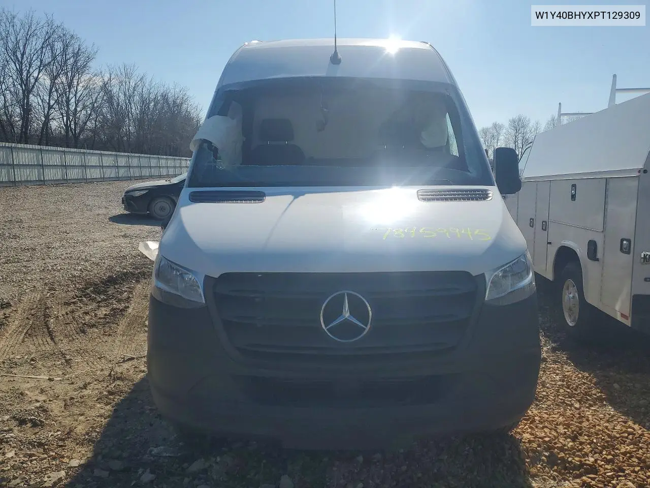 Sprinter