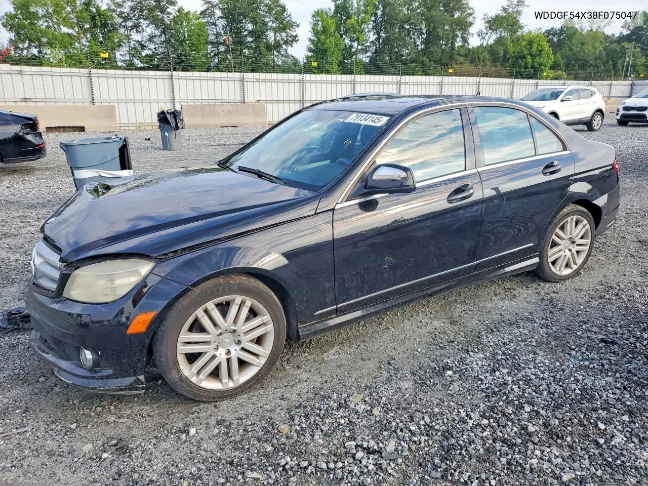 2008 Mercedes-Benz C 300 VIN: WDDGF54X38F075047 Lot: 79134145