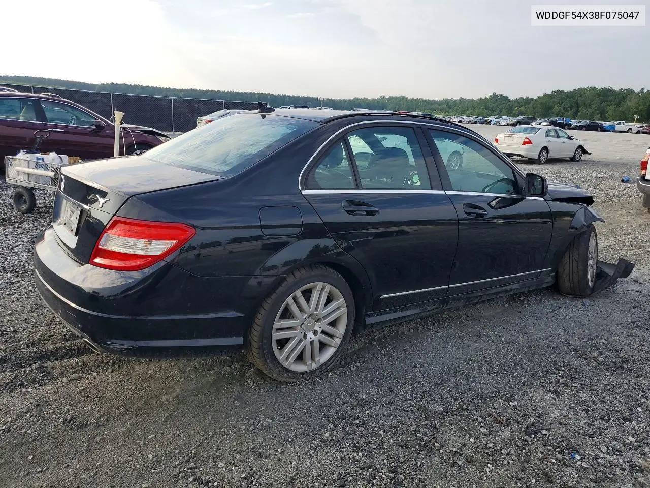 2008 Mercedes-Benz C 300 VIN: WDDGF54X38F075047 Lot: 79134145