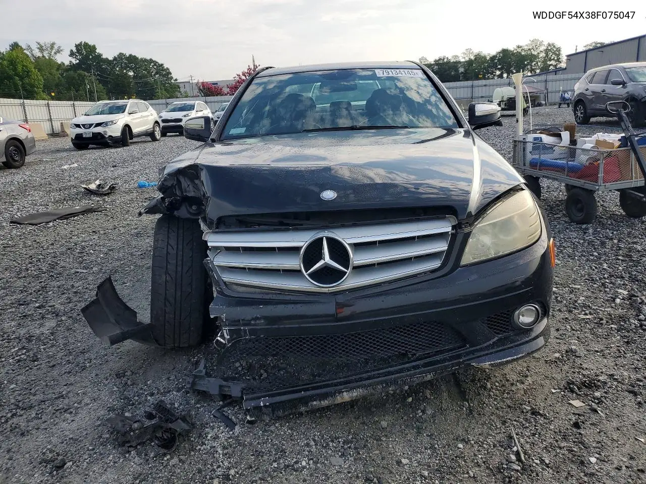 2008 Mercedes-Benz C 300 VIN: WDDGF54X38F075047 Lot: 79134145