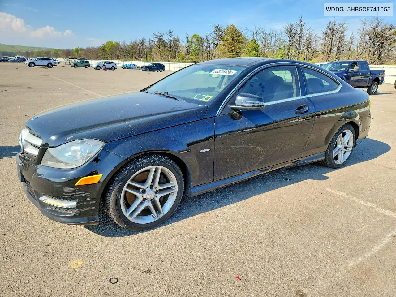 2012 Mercedes-Benz C 350 VIN: WDDGJ5HB5CF741055 Lot: 53936486