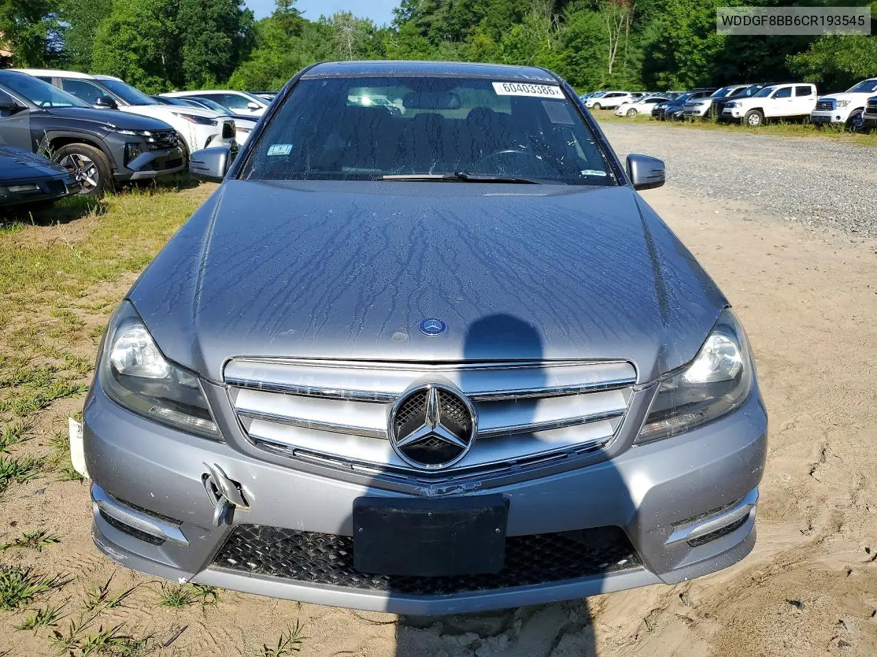 2012 Mercedes-Benz C 300 4Matic VIN: WDDGF8BB6CR193545 Lot: 60403386