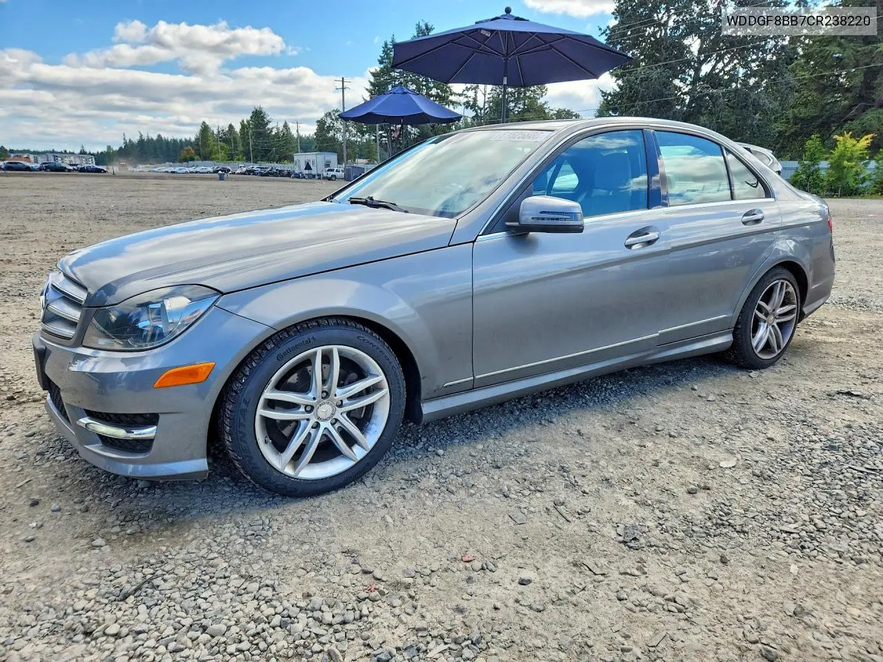 2012 Mercedes-Benz C 300 4Matic VIN: WDDGF8BB7CR238220 Lot: 61625866