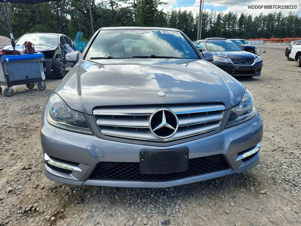 2012 Mercedes-Benz C 300 4Matic VIN: WDDGF8BB7CR238220 Lot: 61625866