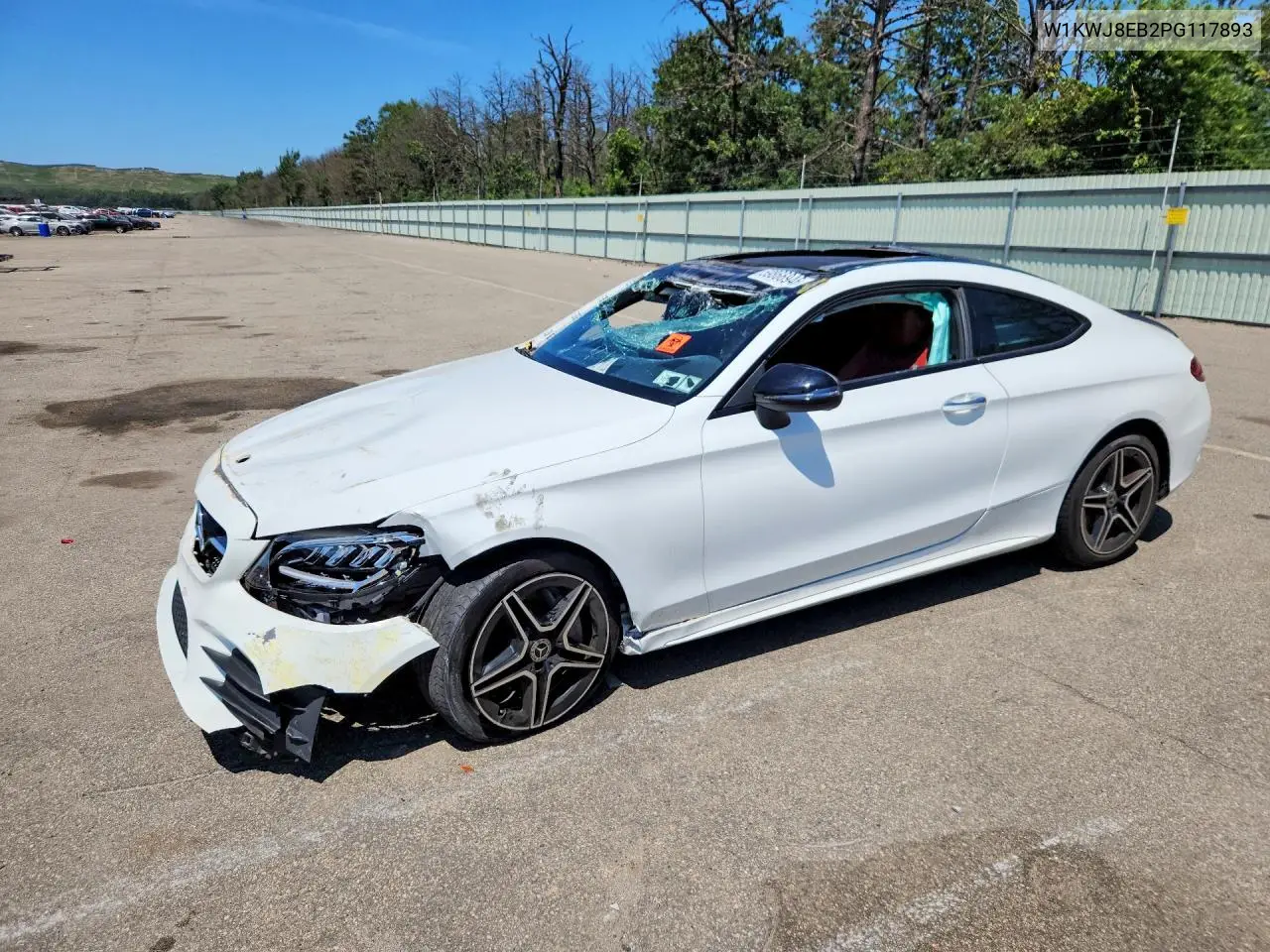 2023 Mercedes-Benz C 300 4Matic VIN: W1KWJ8EB2PG117893 Lot: 59866946