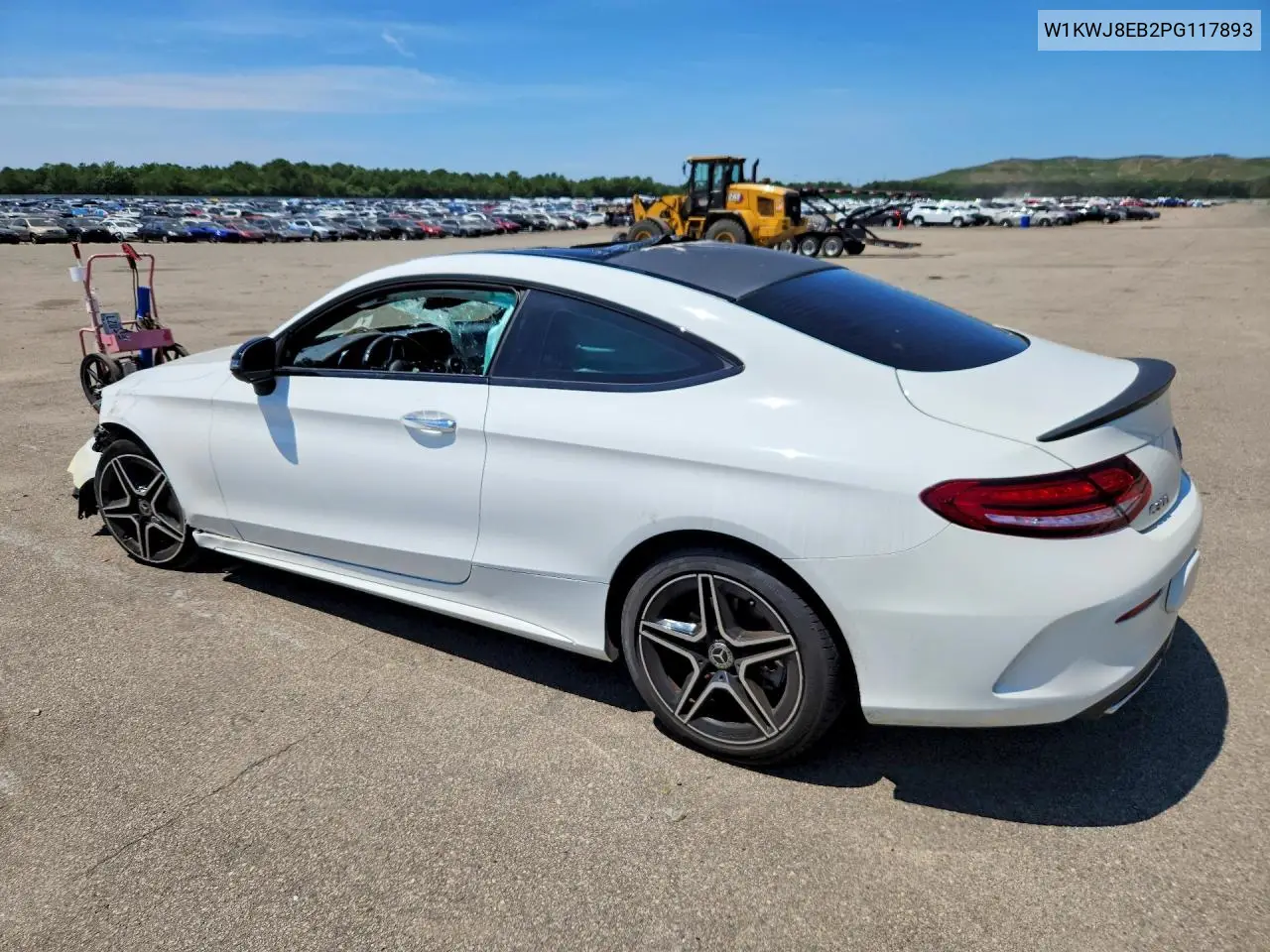2023 Mercedes-Benz C 300 4Matic VIN: W1KWJ8EB2PG117893 Lot: 59866946