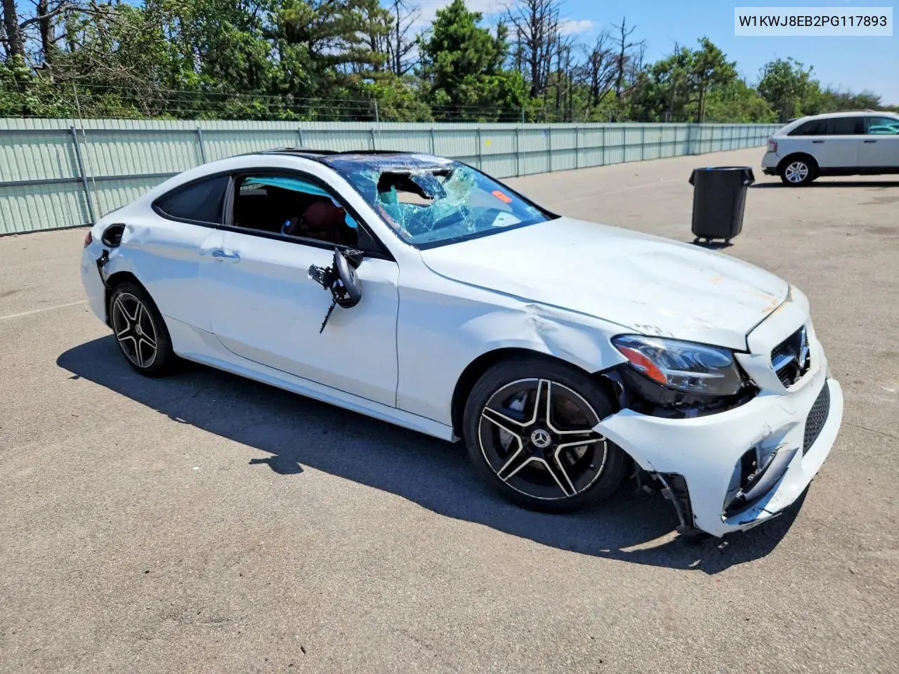 2023 Mercedes-Benz C 300 4Matic VIN: W1KWJ8EB2PG117893 Lot: 59866946
