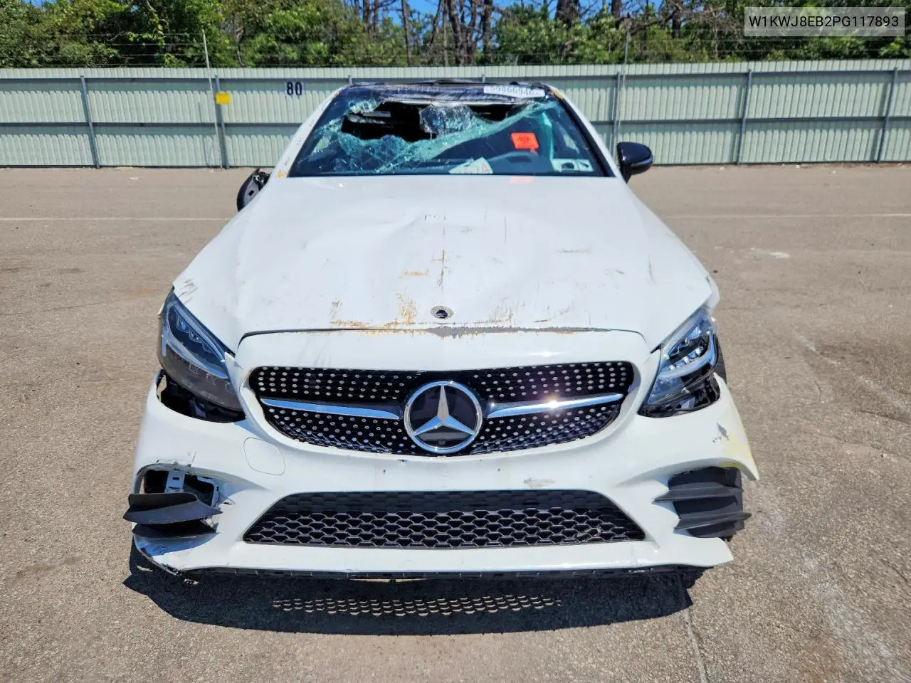 2023 Mercedes-Benz C 300 4Matic VIN: W1KWJ8EB2PG117893 Lot: 59866946