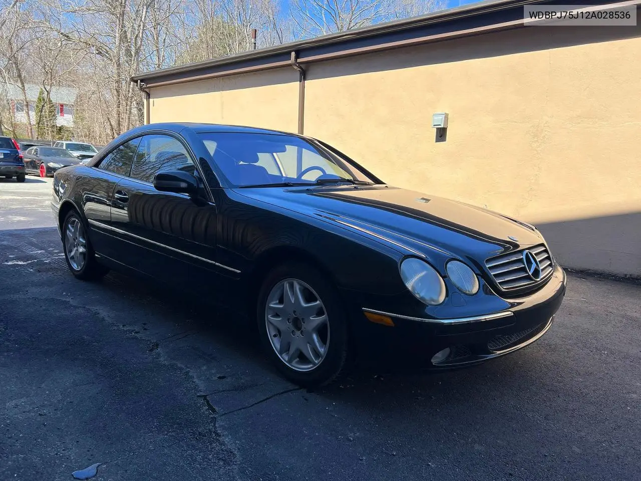 2002 Mercedes-Benz Cl 500 VIN: WDBPJ75J12A028536 Lot: 52797216