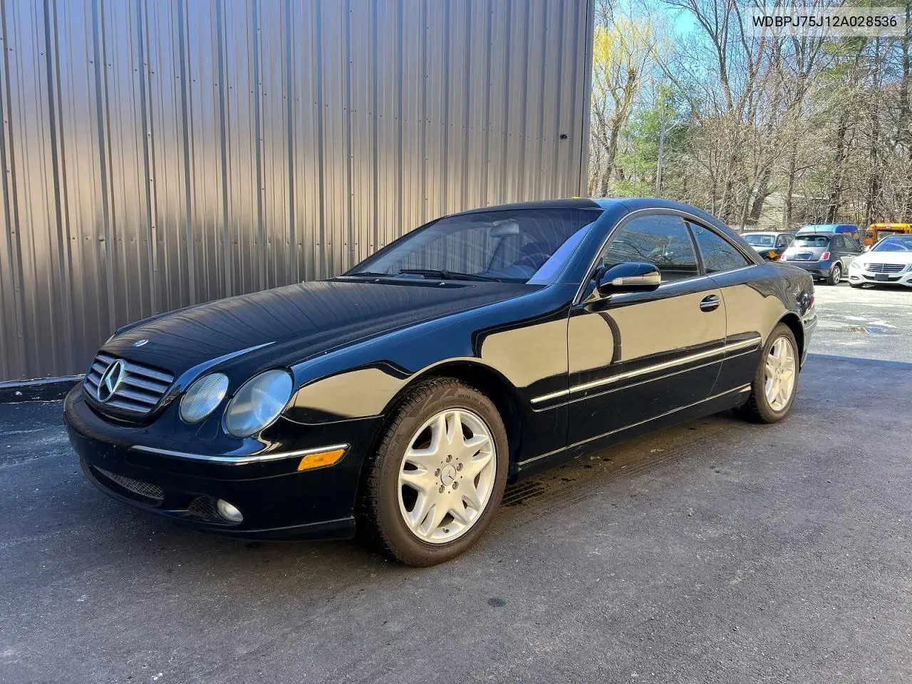 2002 Mercedes-Benz Cl 500 VIN: WDBPJ75J12A028536 Lot: 52797216