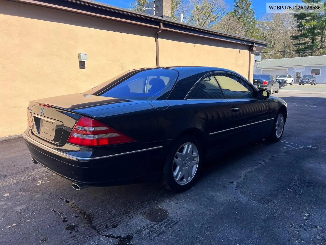2002 Mercedes-Benz Cl 500 VIN: WDBPJ75J12A028536 Lot: 52797216