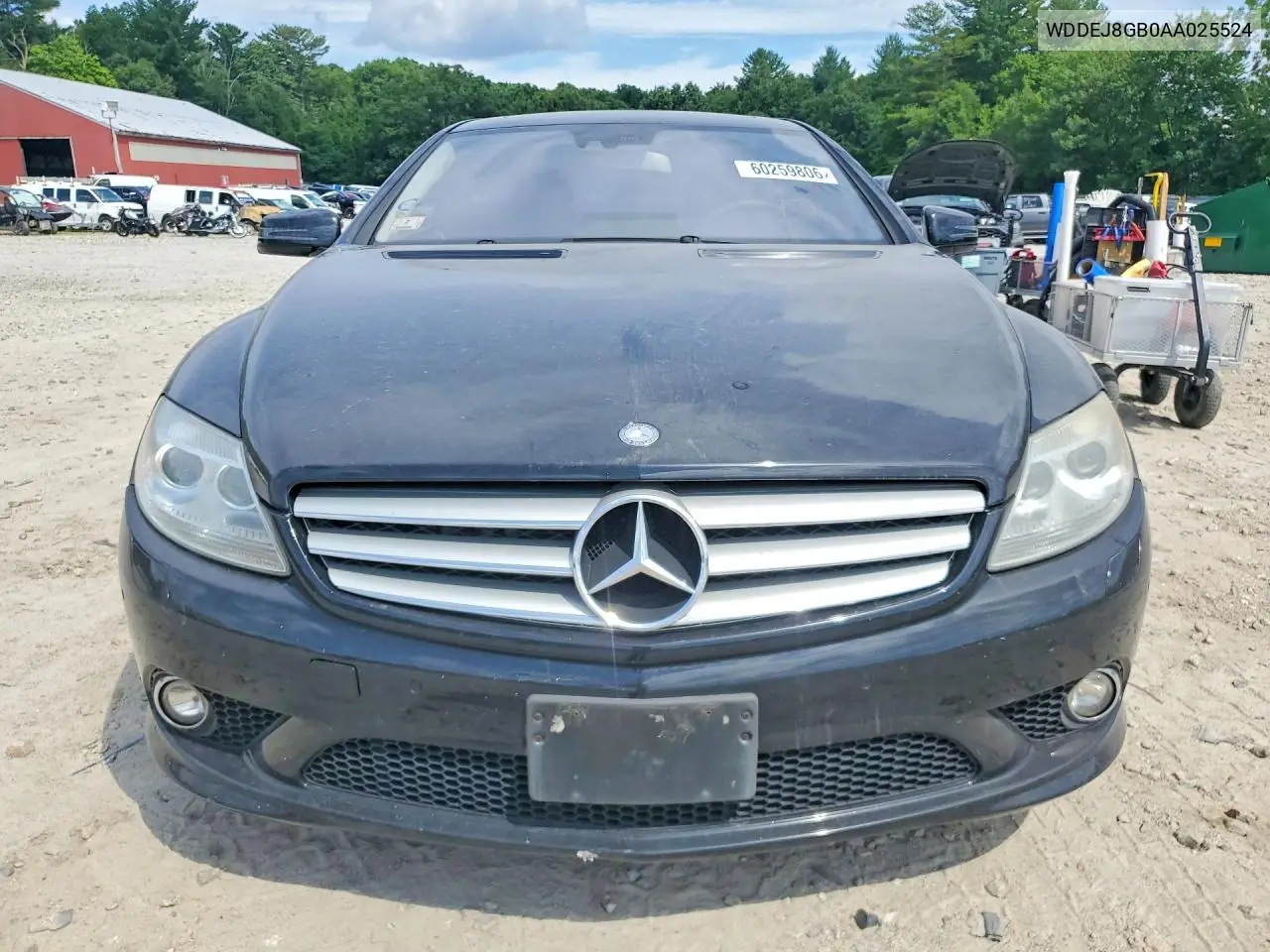 2010 Mercedes-Benz Cl 550 4Matic VIN: WDDEJ8GB0AA025524 Lot: 60259806