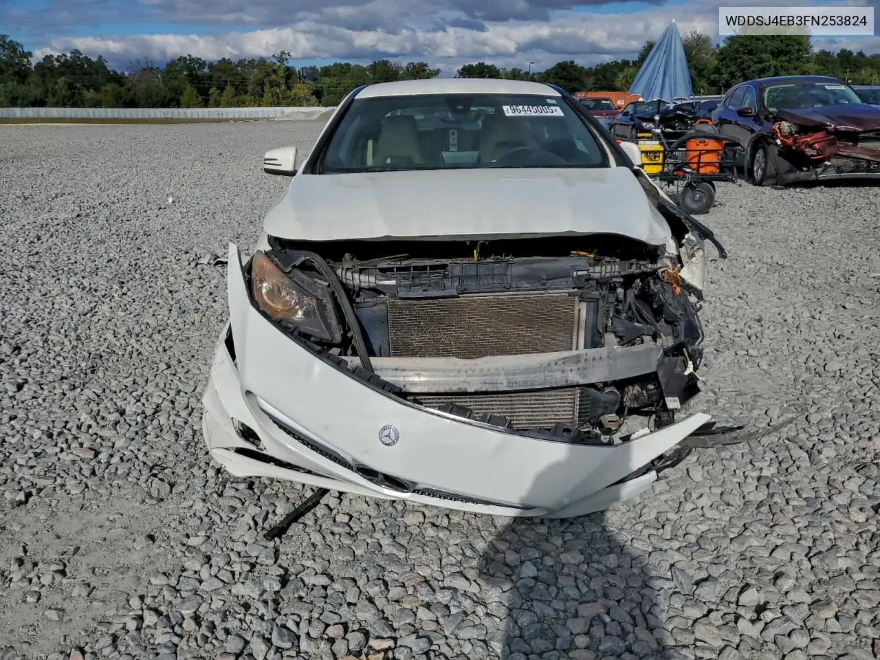 WDDSJ4EB3FN253824 2015 Mercedes-Benz Cla 250