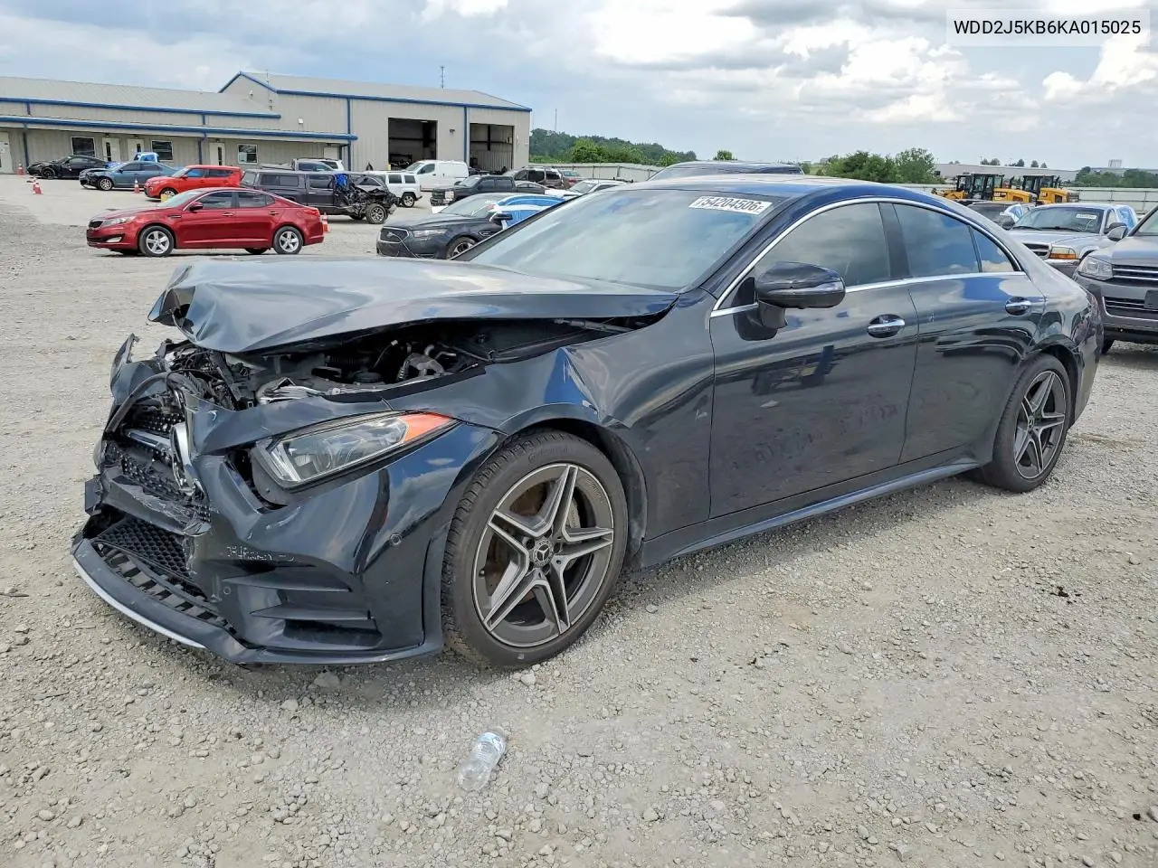 2019 Mercedes-Benz Cls 450 4Matic VIN: WDD2J5KB6KA015025 Lot: 54204506