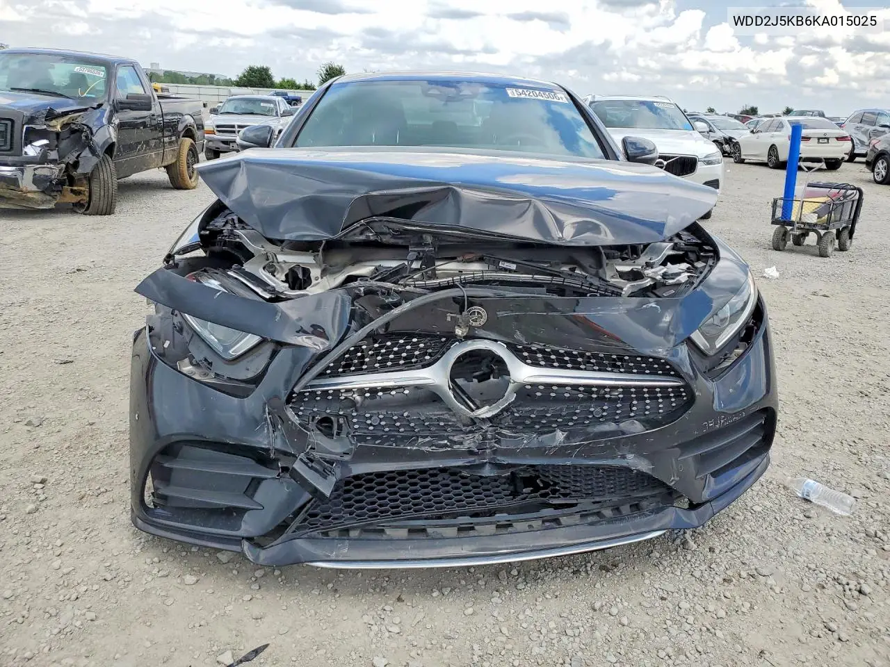 2019 Mercedes-Benz Cls 450 4Matic VIN: WDD2J5KB6KA015025 Lot: 54204506