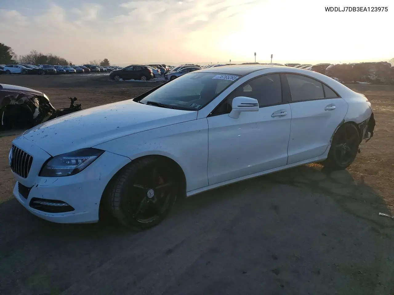 2014 Mercedes-Benz Cls 550 VIN: WDDLJ7DB3EA123975 Lot: 76765265