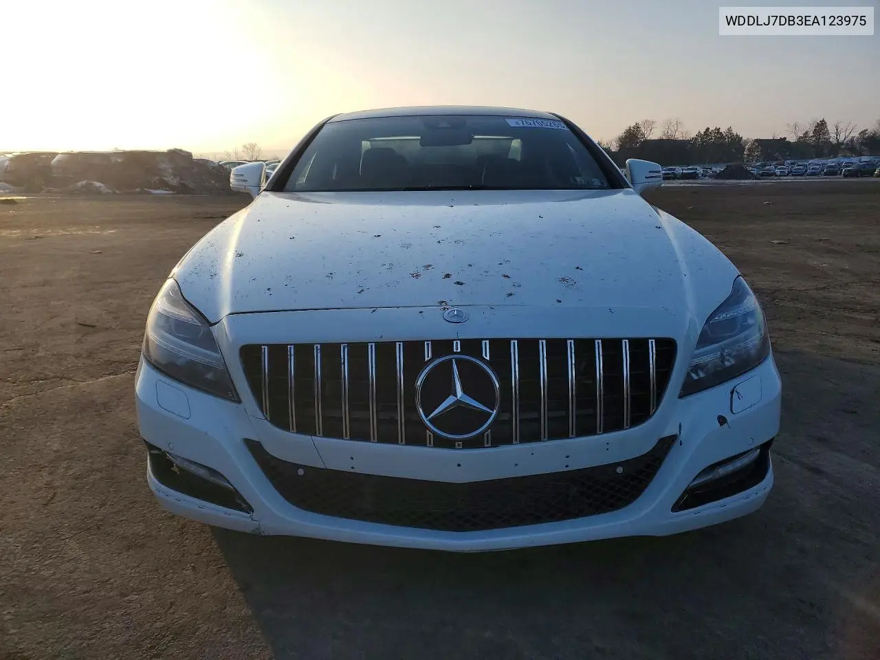 2014 Mercedes-Benz Cls 550 VIN: WDDLJ7DB3EA123975 Lot: 76765265