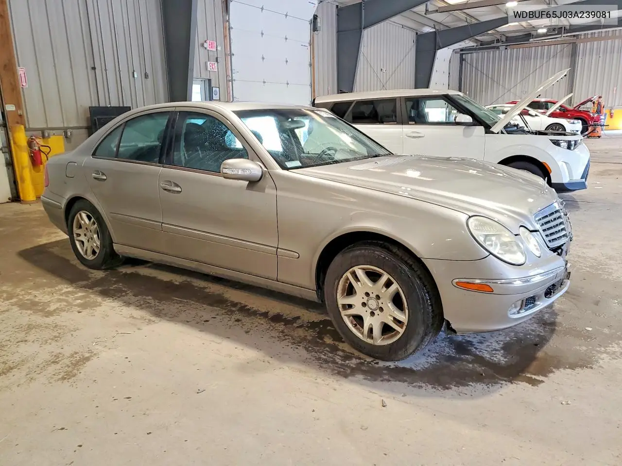 2003 Mercedes-Benz E 320 VIN: WDBUF65J03A239081 Lot: 61136006