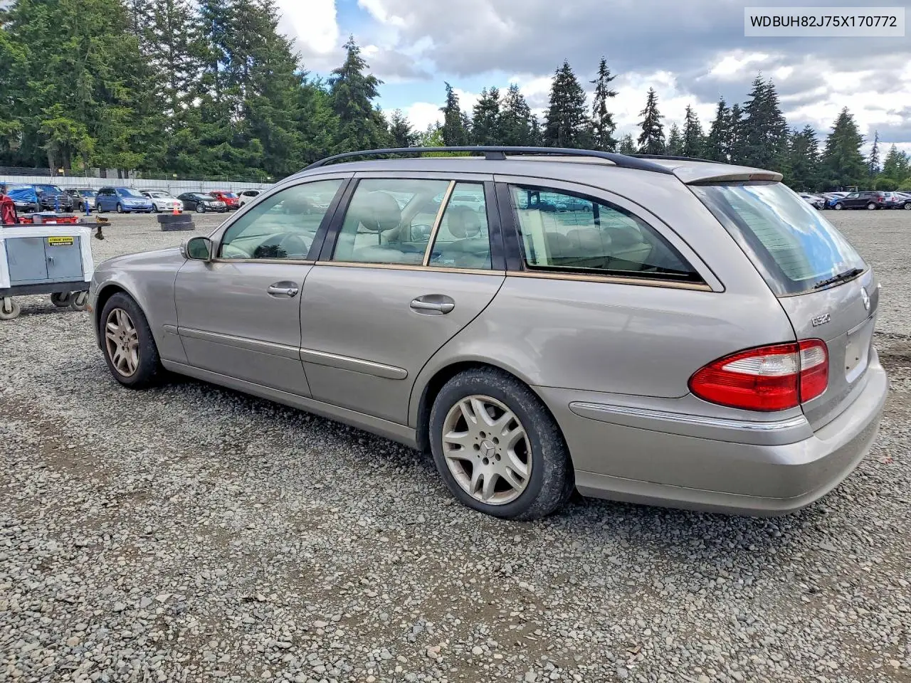 2005 Mercedes-Benz E 320 4Matic VIN: WDBUH82J75X170772 Lot: 55282146