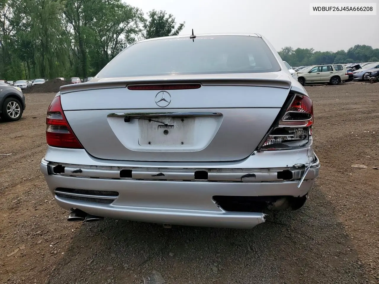 2005 Mercedes-Benz E 320 Cdi VIN: WDBUF26J45A666208 Lot: 61161736