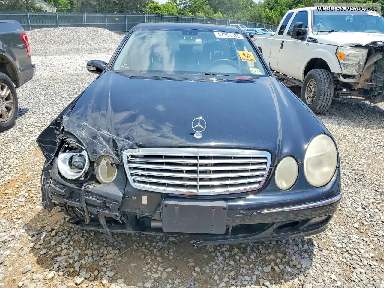2006 Mercedes-Benz E 350 VIN: WDBUF56J96A802660 Lot: 57951586