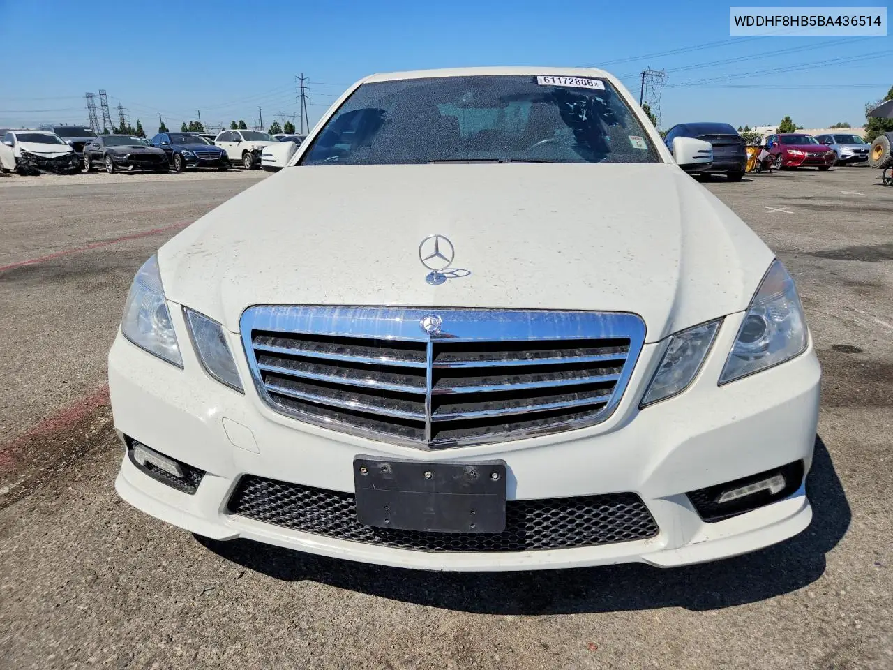 2011 Mercedes-Benz E 350 4Matic VIN: WDDHF8HB5BA436514 Lot: 61172886