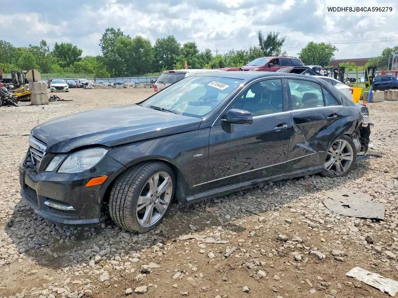 2012 Mercedes-Benz E 350 4Matic VIN: WDDHF8JB4CA596279 Lot: 62154456