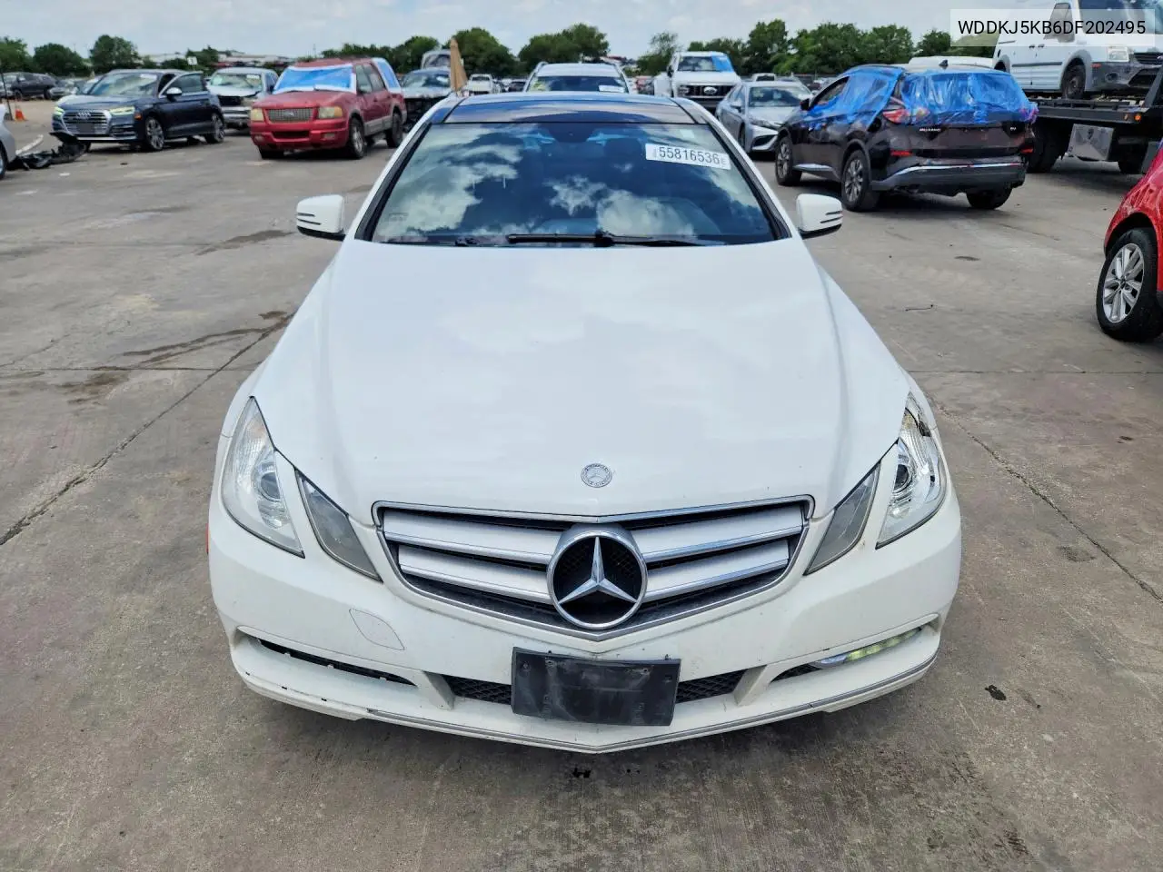 2013 Mercedes-Benz E 350 VIN: WDDKJ5KB6DF202495 Lot: 55816536