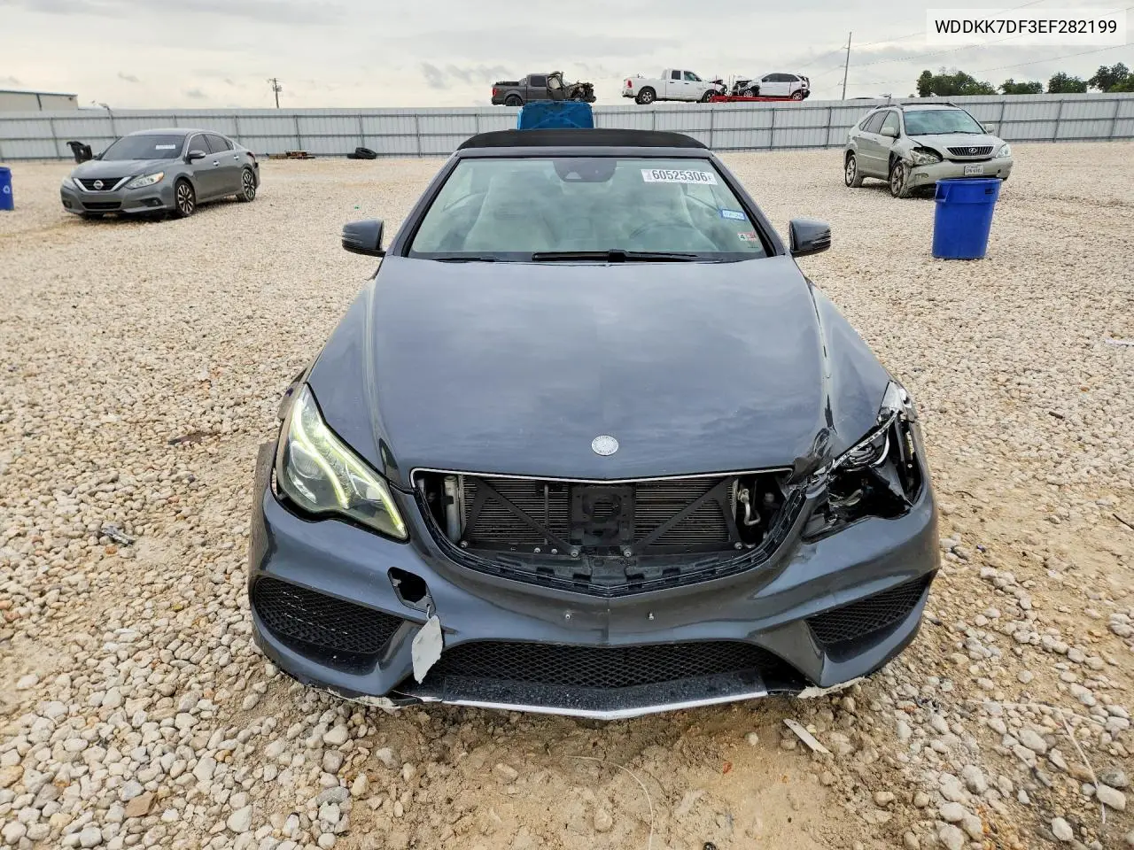 2014 Mercedes-Benz E 550 VIN: WDDKK7DF3EF282199 Lot: 60525306
