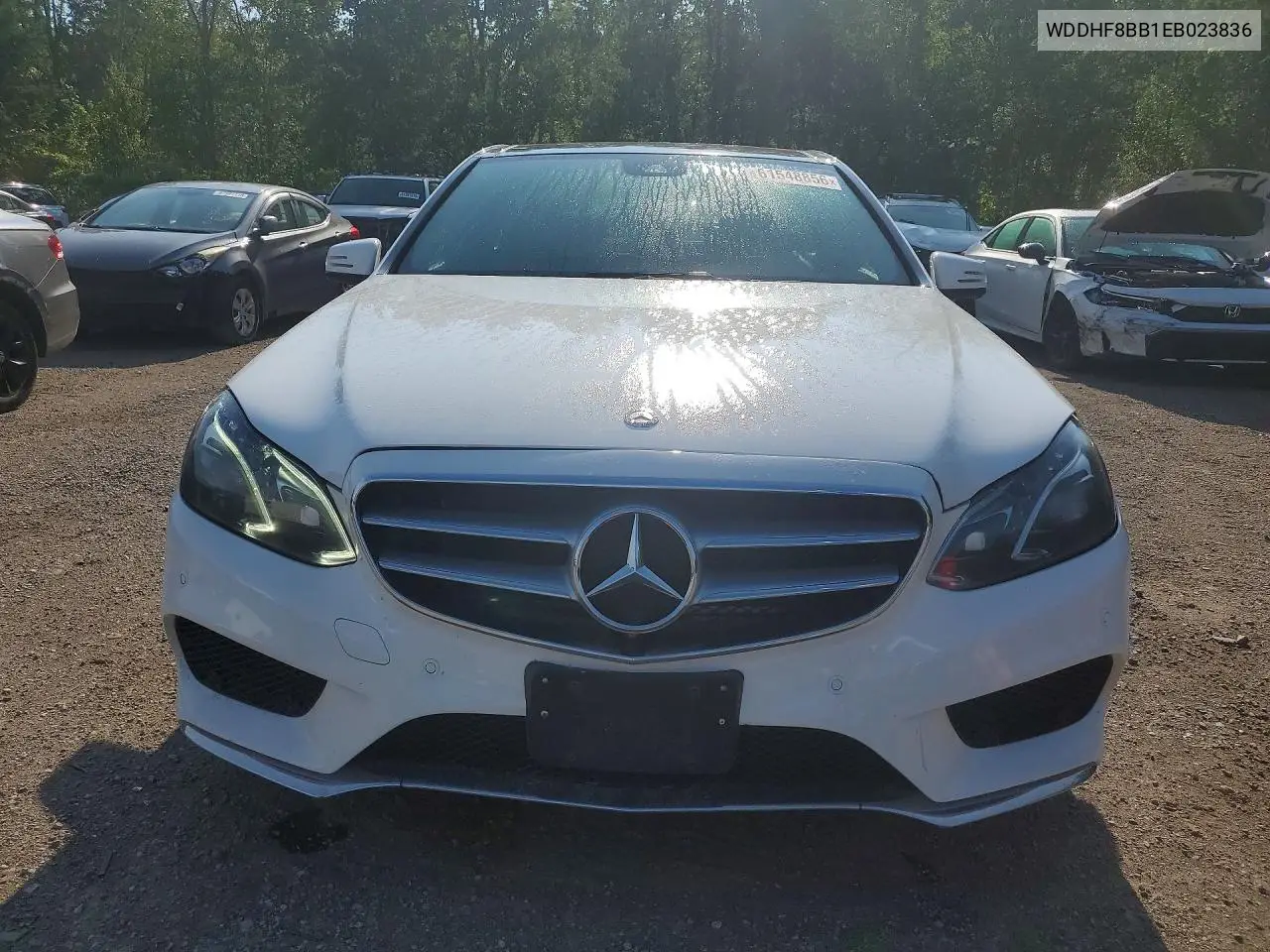 2014 Mercedes-Benz E 300 4Matic VIN: WDDHF8BB1EB023836 Lot: 61548856