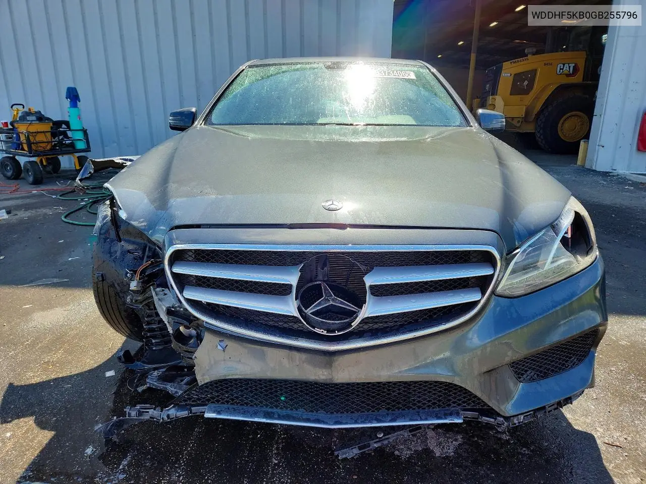 2016 Mercedes-Benz E 350 VIN: WDDHF5KB0GB255796 Lot: 61885046