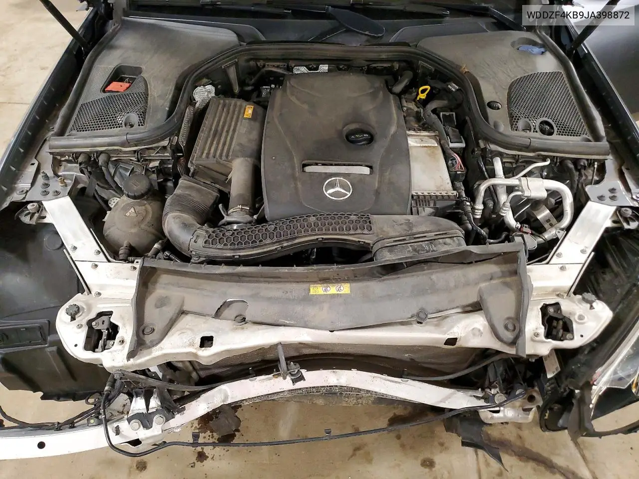 V (W213, S213, C238)