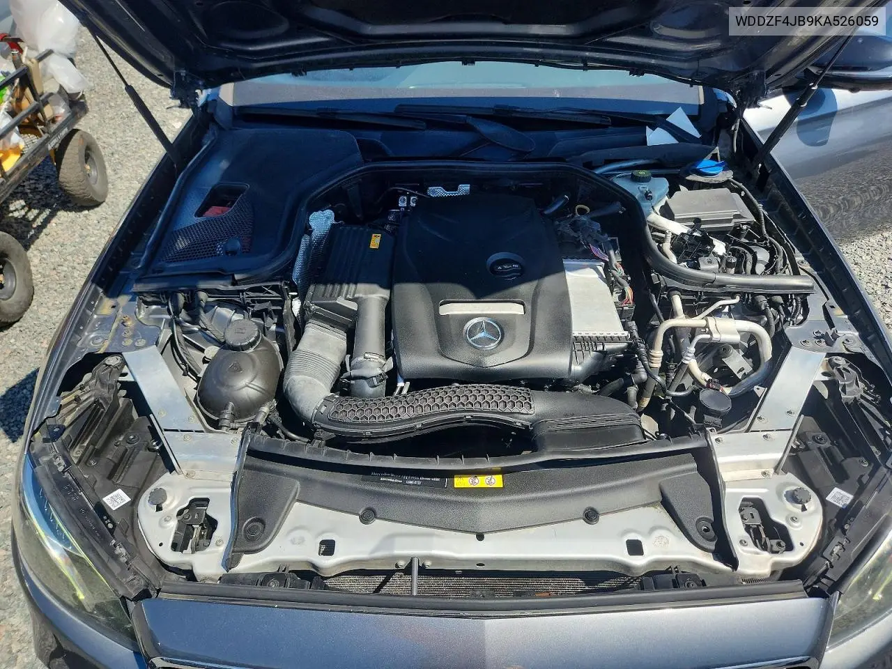 V (W213, S213, C238)