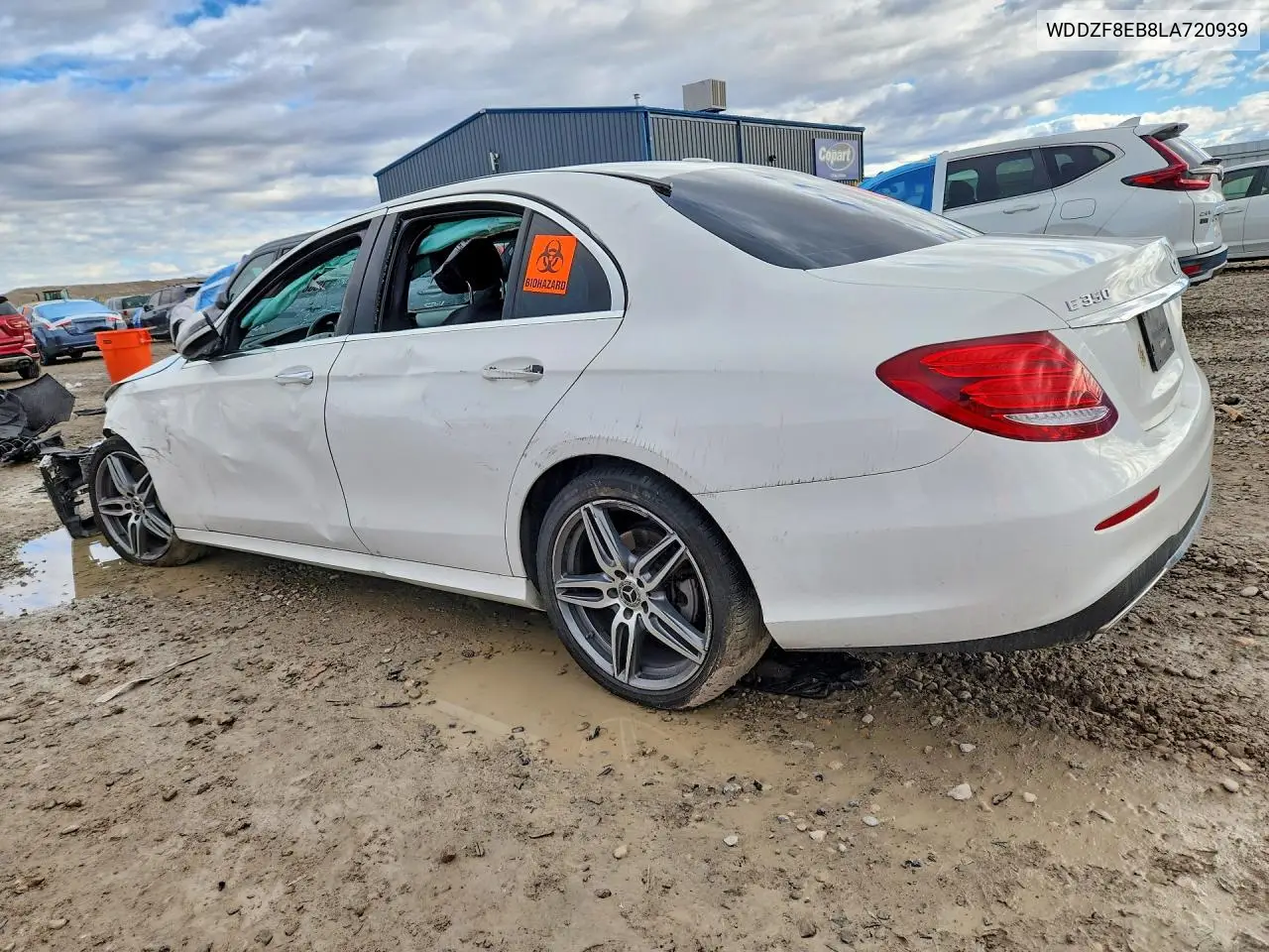 V (W213, S213, C238)