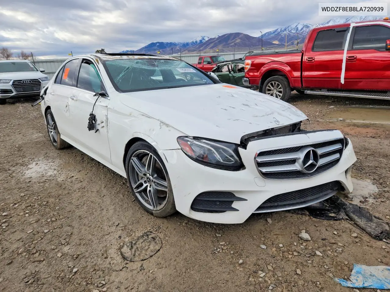 V (W213, S213, C238)