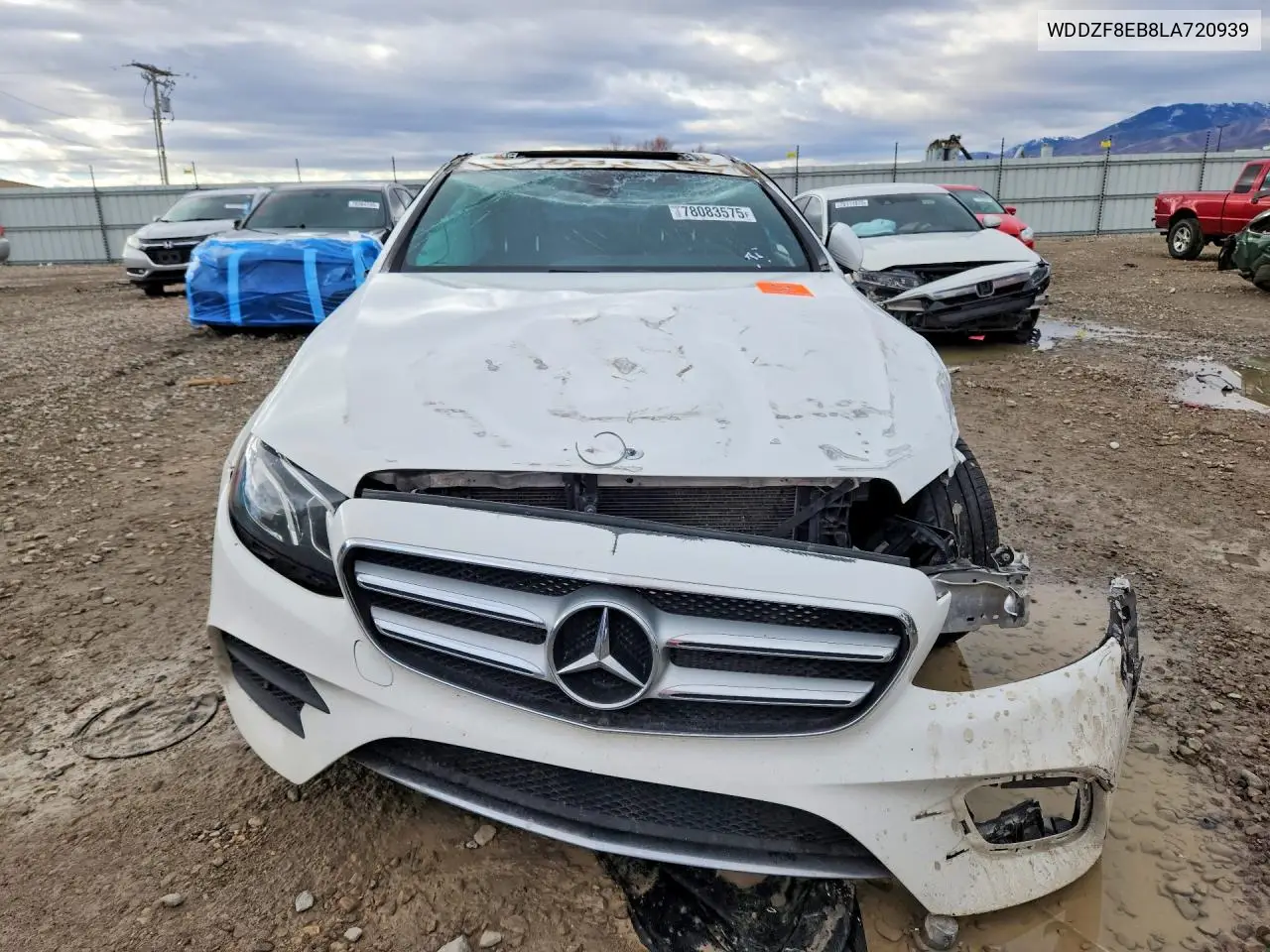 V (W213, S213, C238)