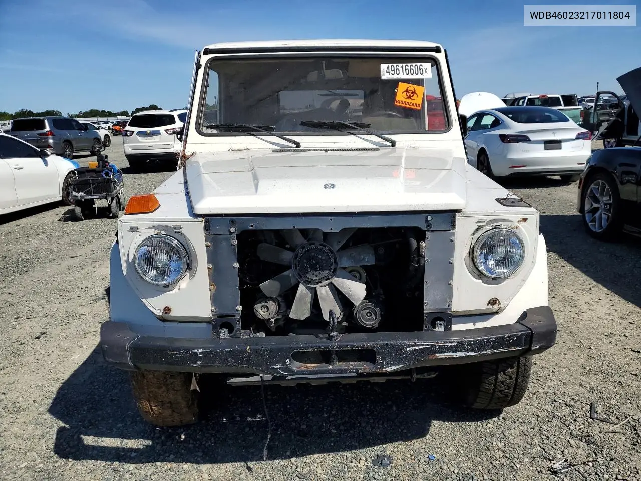 1981 Mercedes-Benz G Wagon VIN: WDB46023217011804 Lot: 49616606