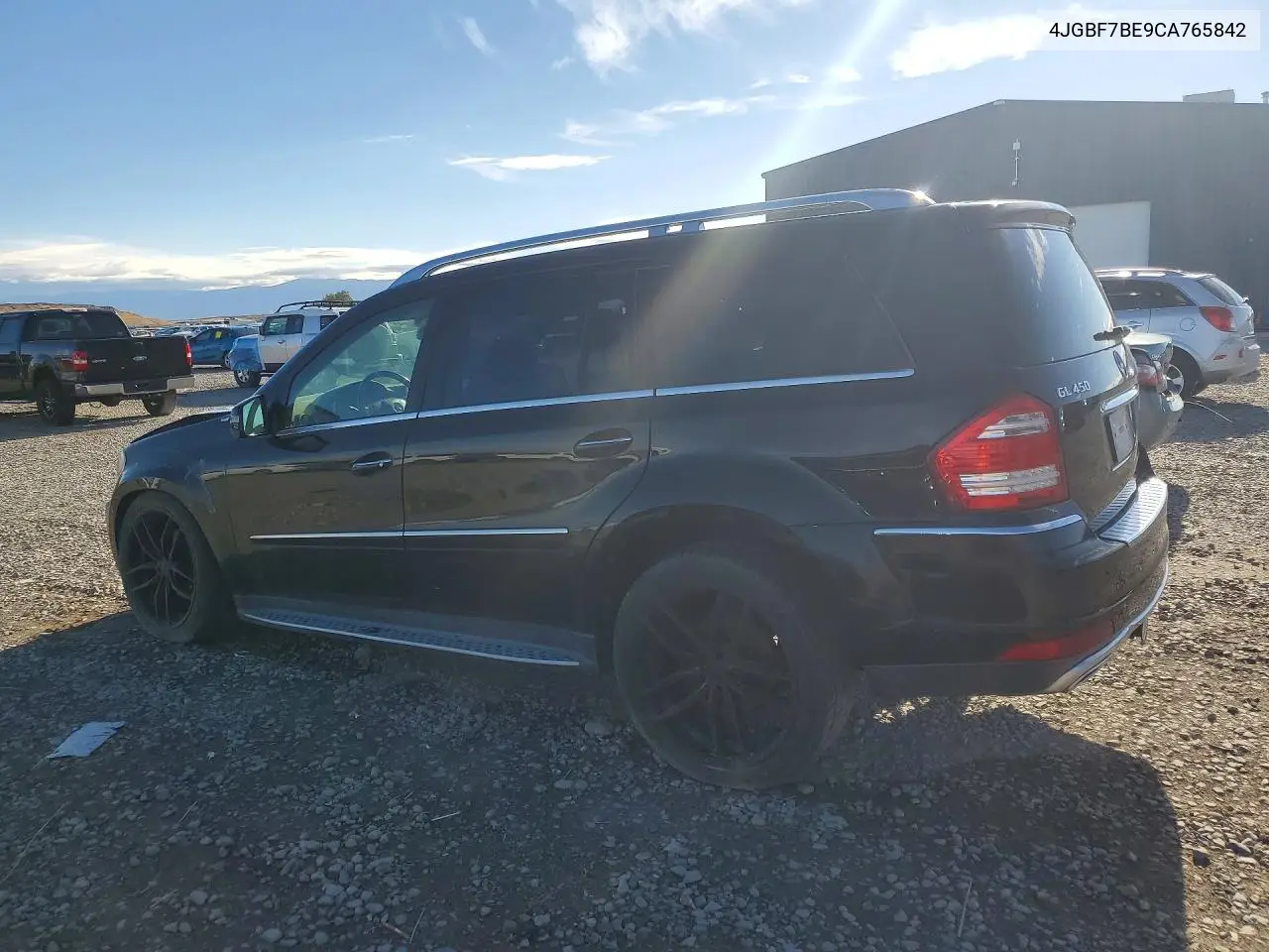 2012 Mercedes-Benz Gl 450 4Matic VIN: 4JGBF7BE9CA765842 Lot: 59170466