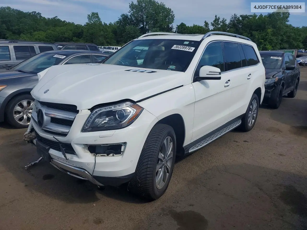2014 Mercedes-Benz Gl 450 4Matic VIN: 4JGDF7CE6EA389384 Lot: 56339976