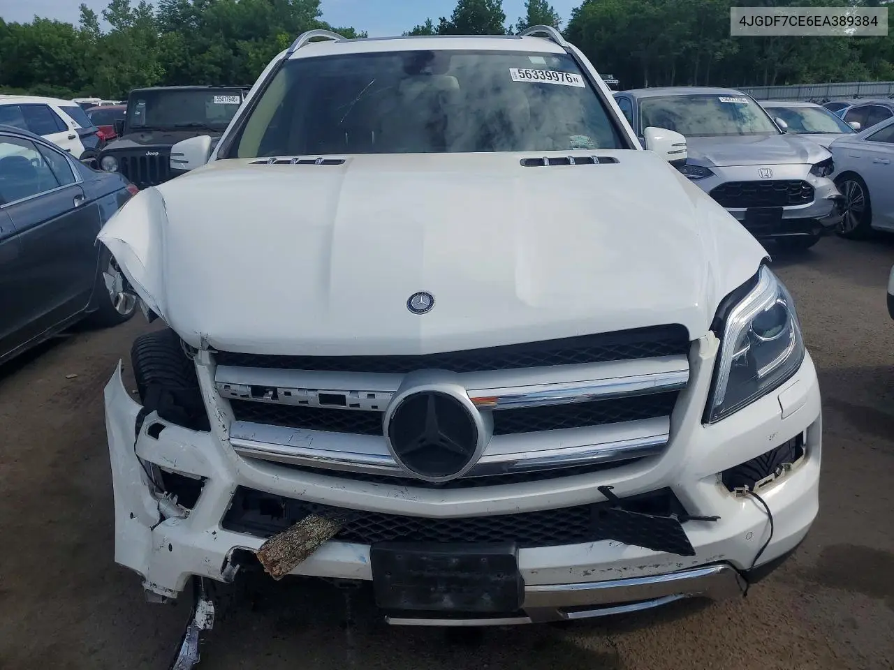 2014 Mercedes-Benz Gl 450 4Matic VIN: 4JGDF7CE6EA389384 Lot: 56339976